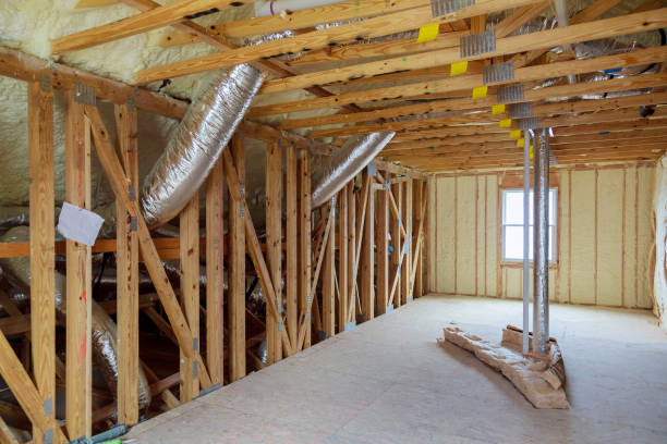 Best Spray Foam Insulation  in Craig, AK