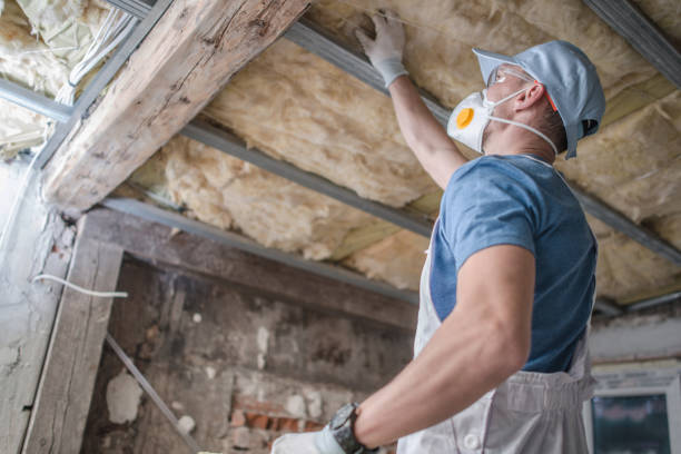 Garage Insulation Installation in Craig, AK